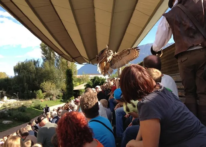 Onyx By Fewotessin لوكارنو